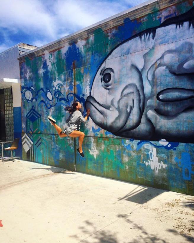 13508971_10153517956205583_5747252016033695465_n