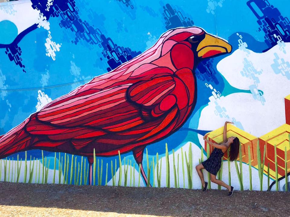 13775574_10153571347820583_3846151692639390042_n