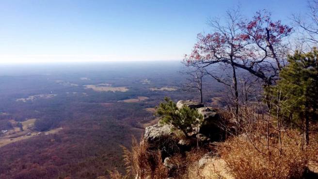 15384430_10153920784605583_1306319472666278236_o