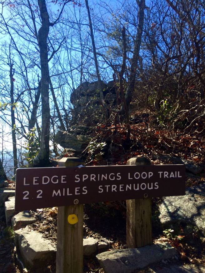 15403736_10153920808960583_4458110548472334274_o